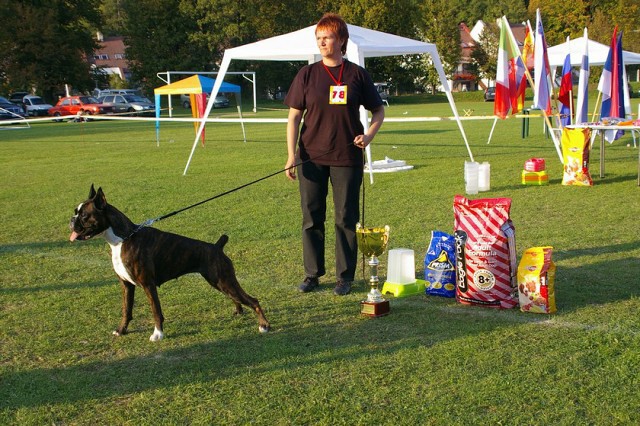 www.boxer-show.eu